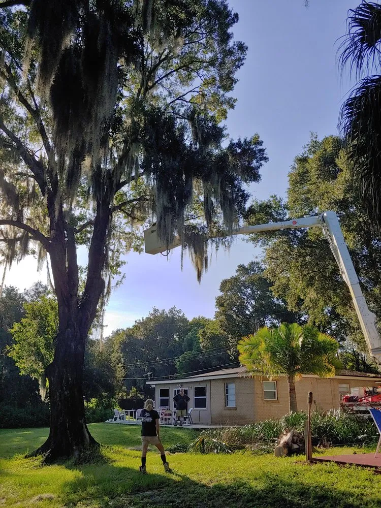 Professional residential landscaping in Lake Wales, FL by Central Florida Tree and Landscape