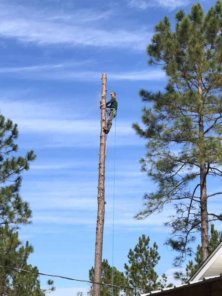 Custom yard maintenance for residential properties across Lake Wales, FL - Central Florida Tree and Landscape