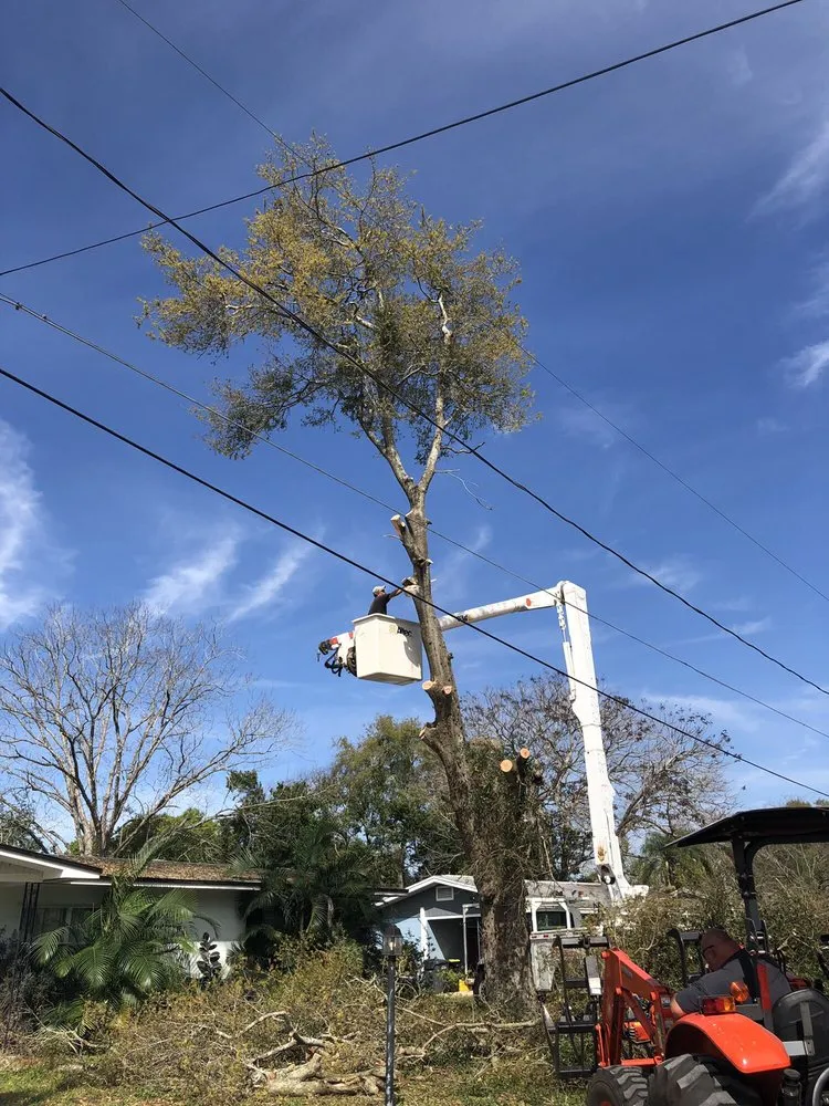 Expert yard cleanup service for homes in Lake Wales, FL by Central Florida Tree and Landscape