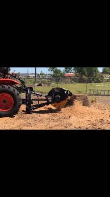Central Florida Tree and Landscape