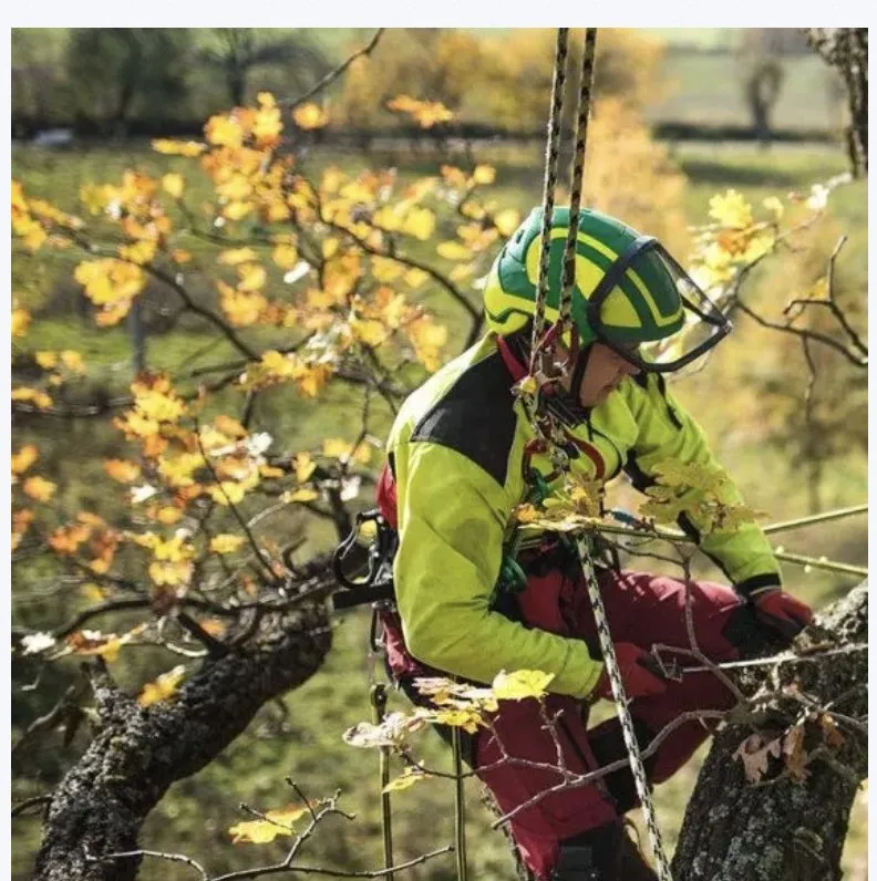 Custom landscape design in Ormond Beach, FL - Central Florida Tree Pros