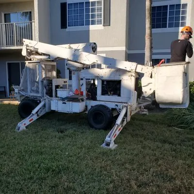 Central Florida Tree Pros