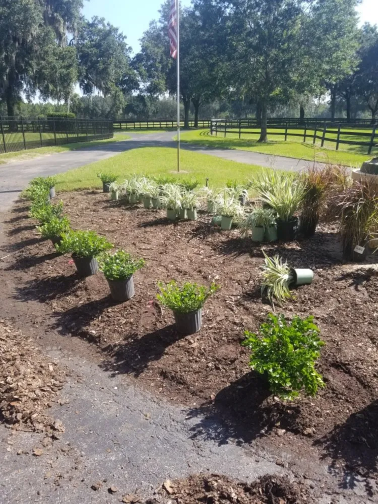 Local yard maintenance experts serving Ocala, FL - Central Florida Turf Specialist
