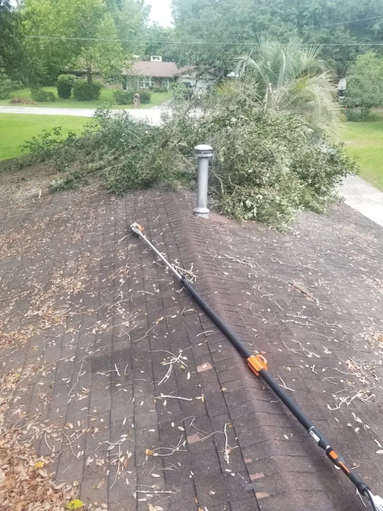 Custom landscaping services in Ocala, FL by Central Florida Turf Specialist