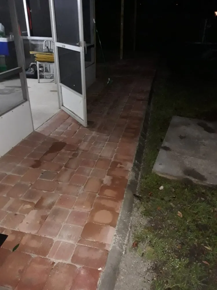 Expert yard cleanup service in Ocala, FL - Central Florida Turf Specialist