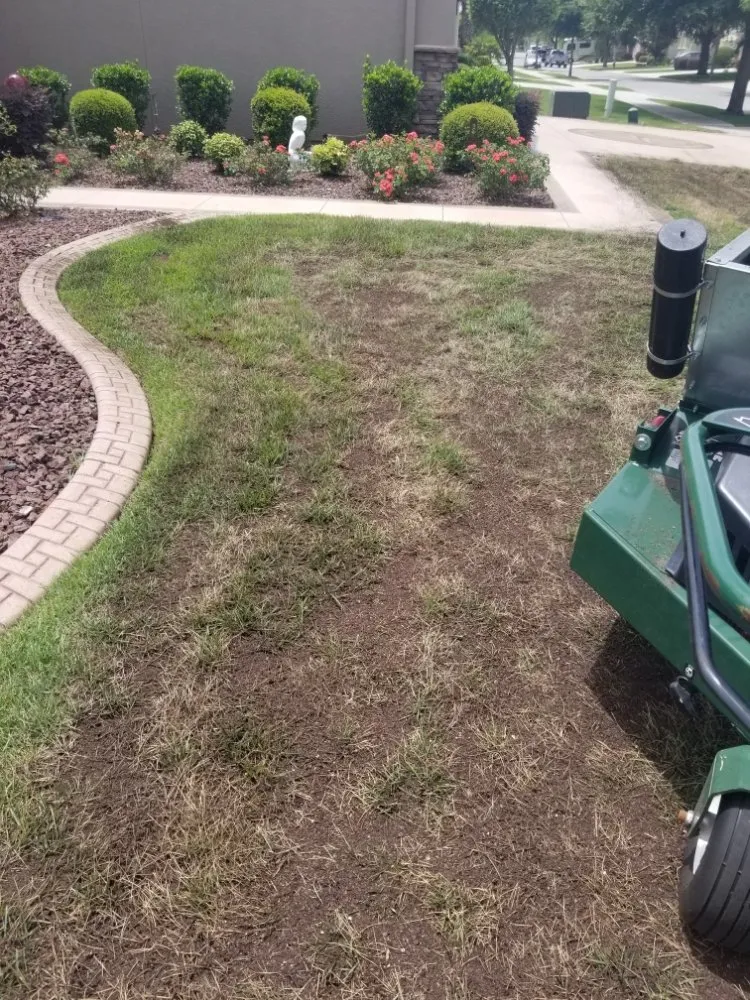 Custom yard maintenance in Ocala, FL by Central Florida Turf Specialist