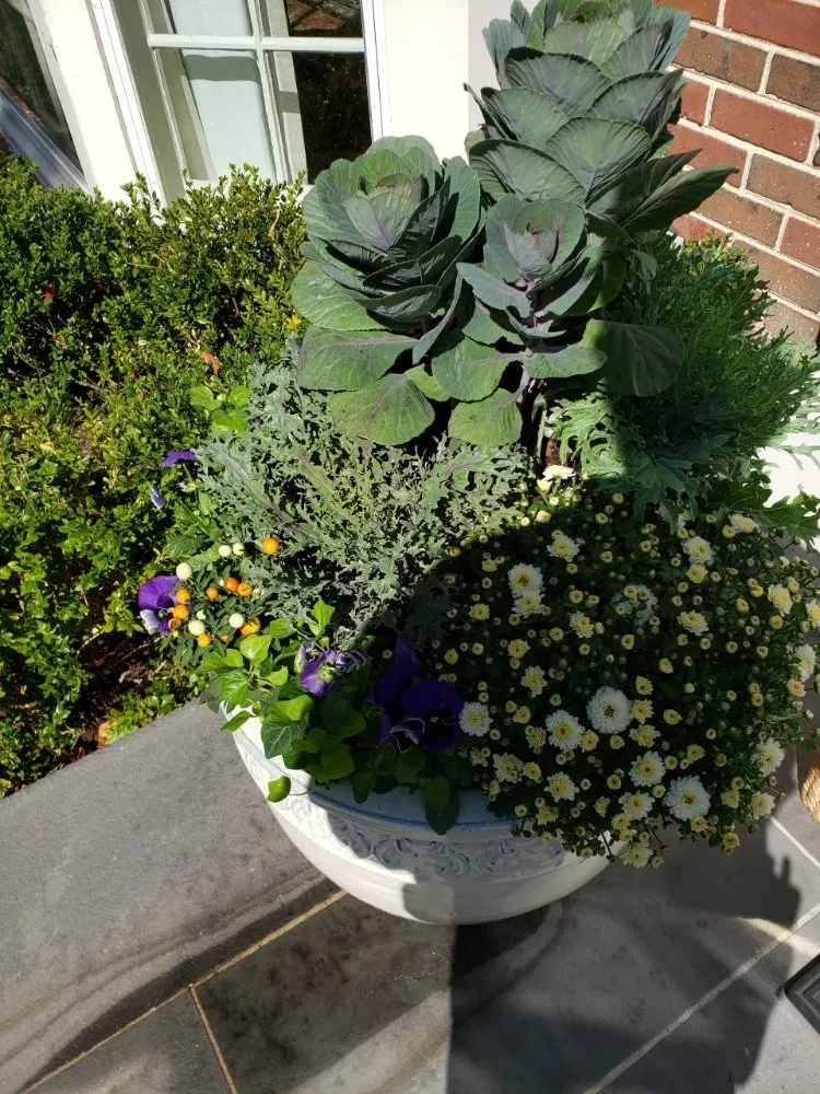 Top-rated lawn care service for beautiful yards in Round Lake Beach, IL by Central Group Landscaping