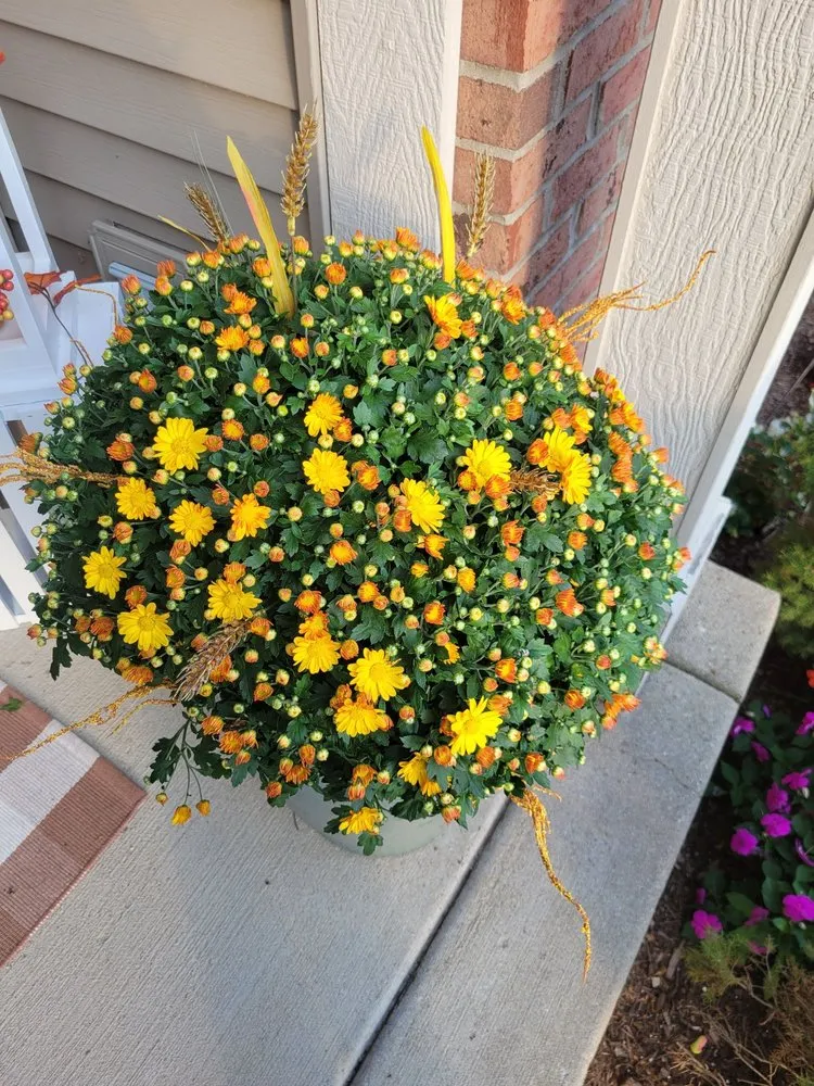 Local landscaping services for year-round maintenance across Round Lake Beach, IL - Central Group Landscaping