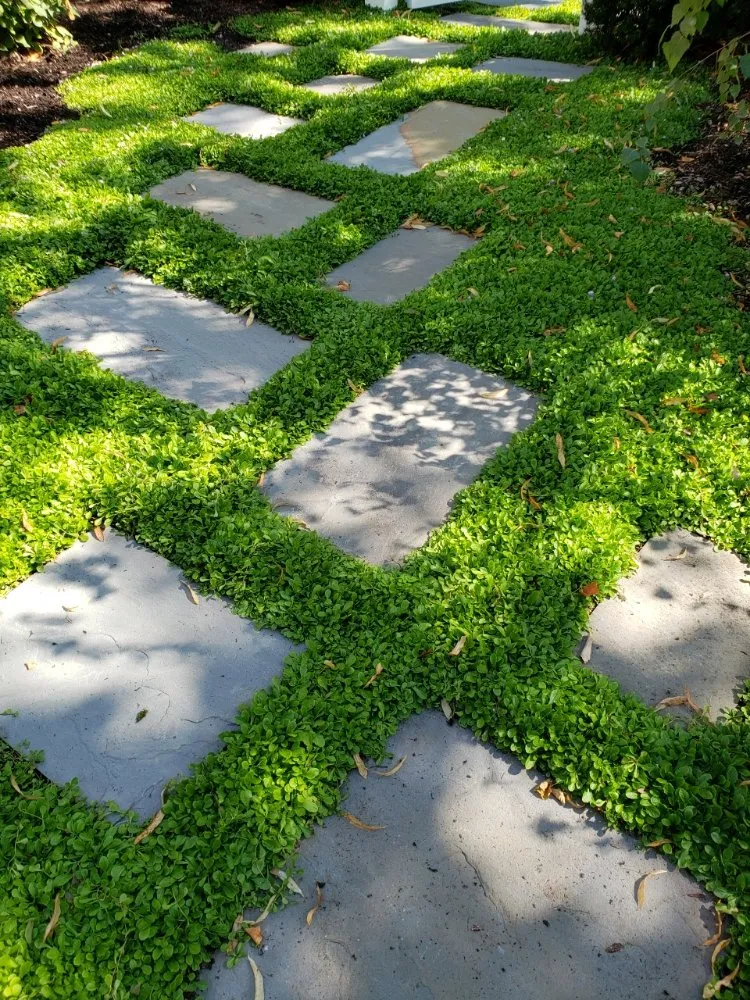 Local landscape installation in Round Lake Beach, IL by Central Group Landscaping