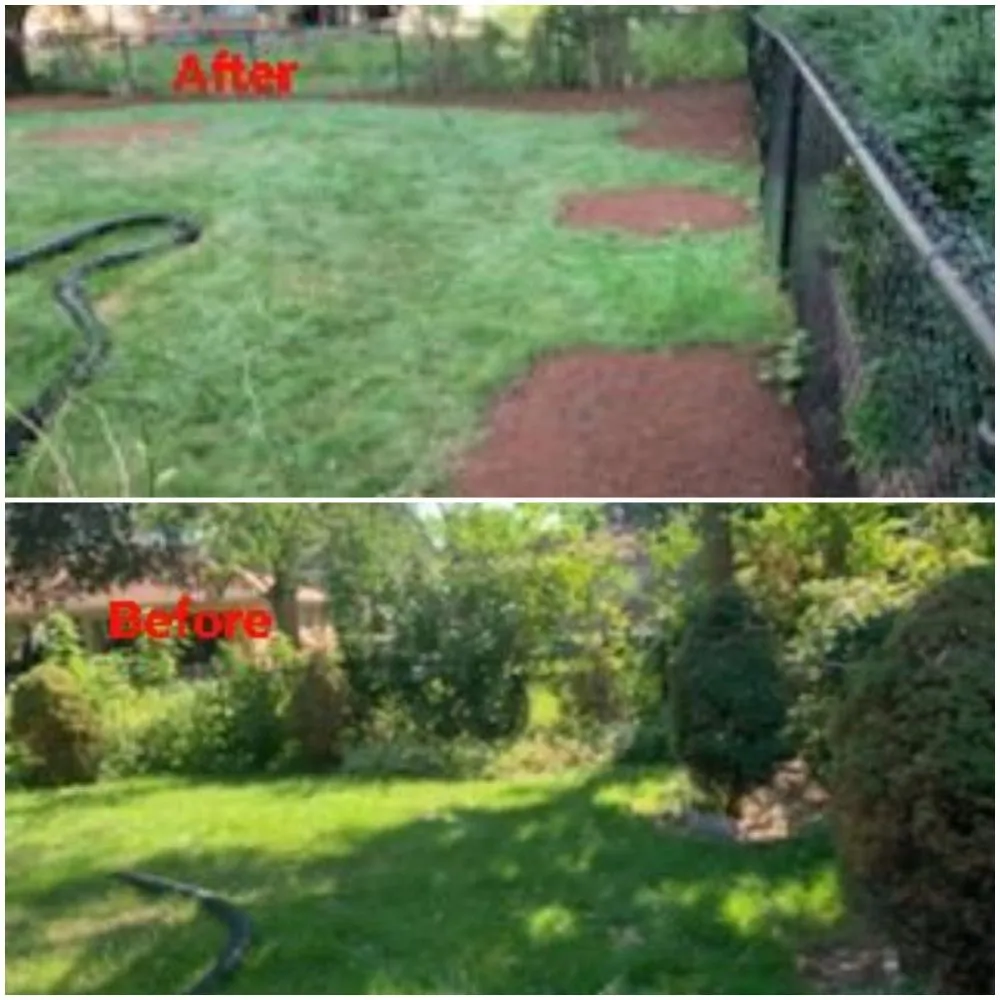 Local garden landscaping for outdoor upgrades in Round Lake Beach, IL by Central Group Landscaping