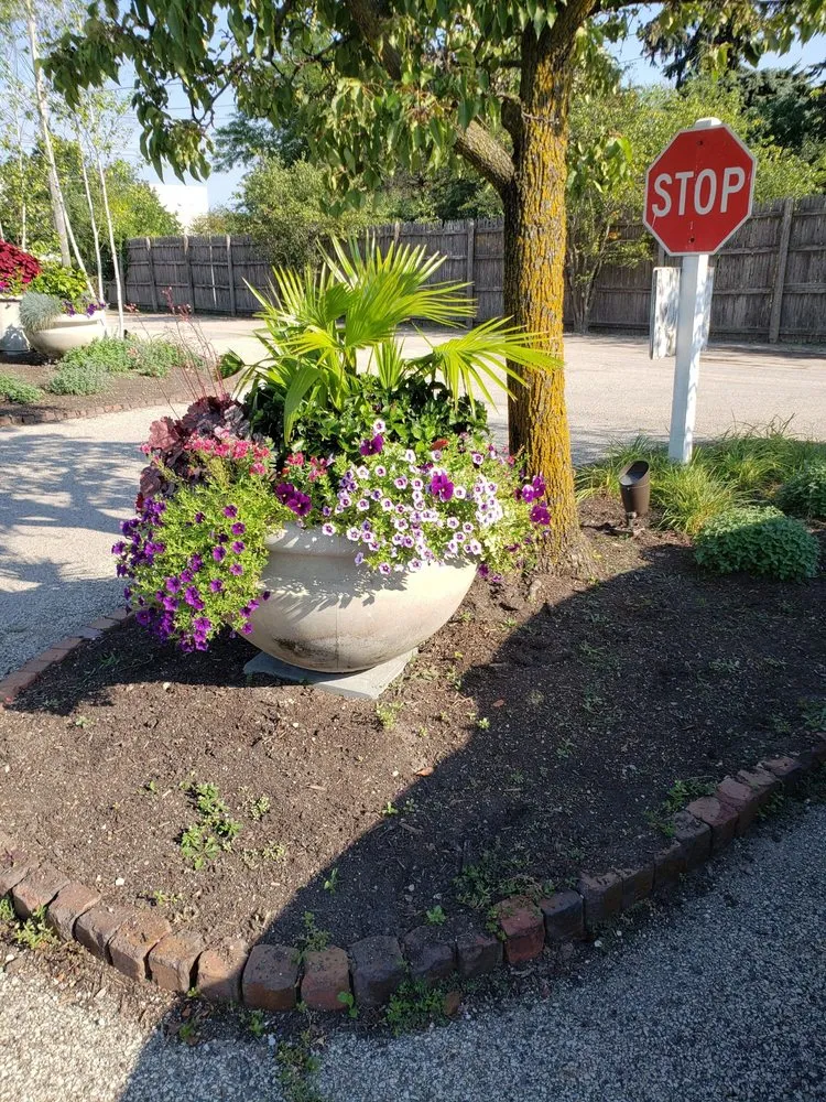 Custom yard cleanup service in Round Lake Beach, IL by Central Group Landscaping