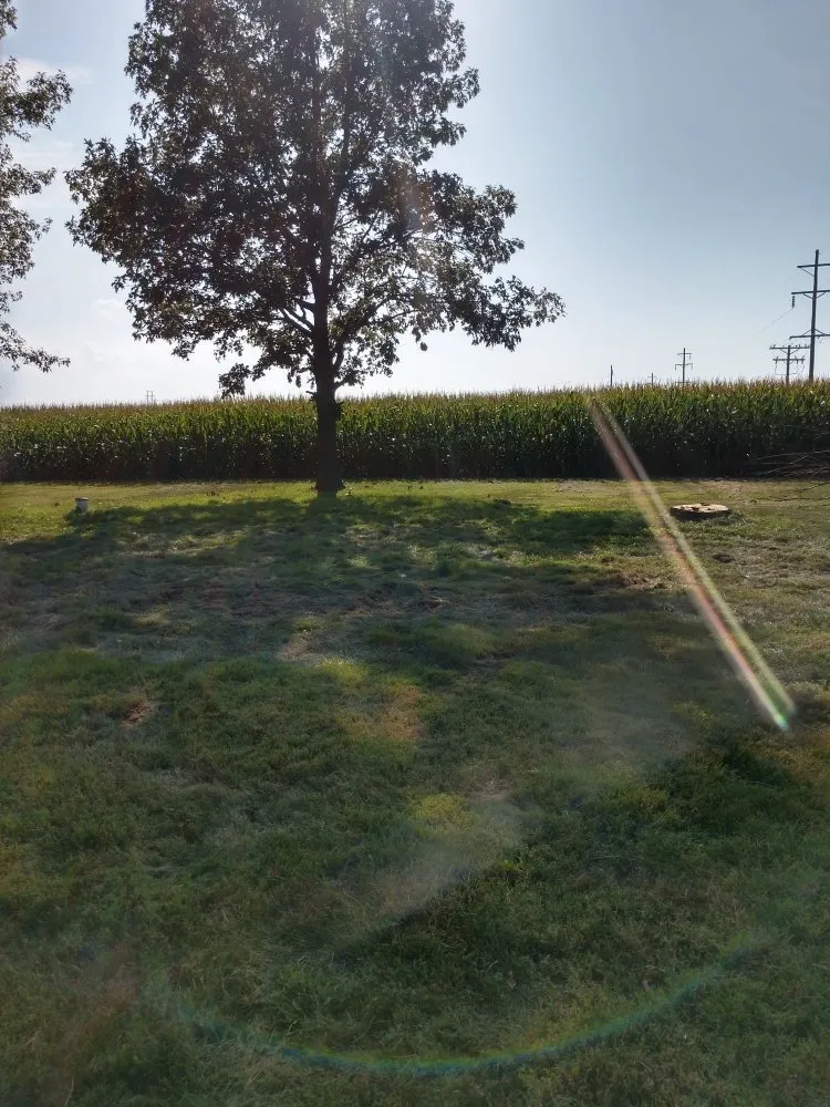 Professional landscape design in Cadwell, IL - Central IL Hedge Trimming