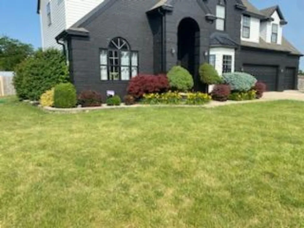 Affordable yard cleanup service experts serving Cadwell, IL - Central IL Hedge Trimming