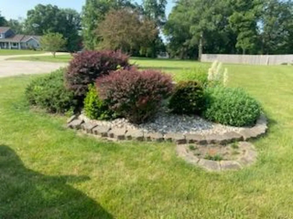 Local yard maintenance experts serving Cadwell, IL - Central IL Hedge Trimming