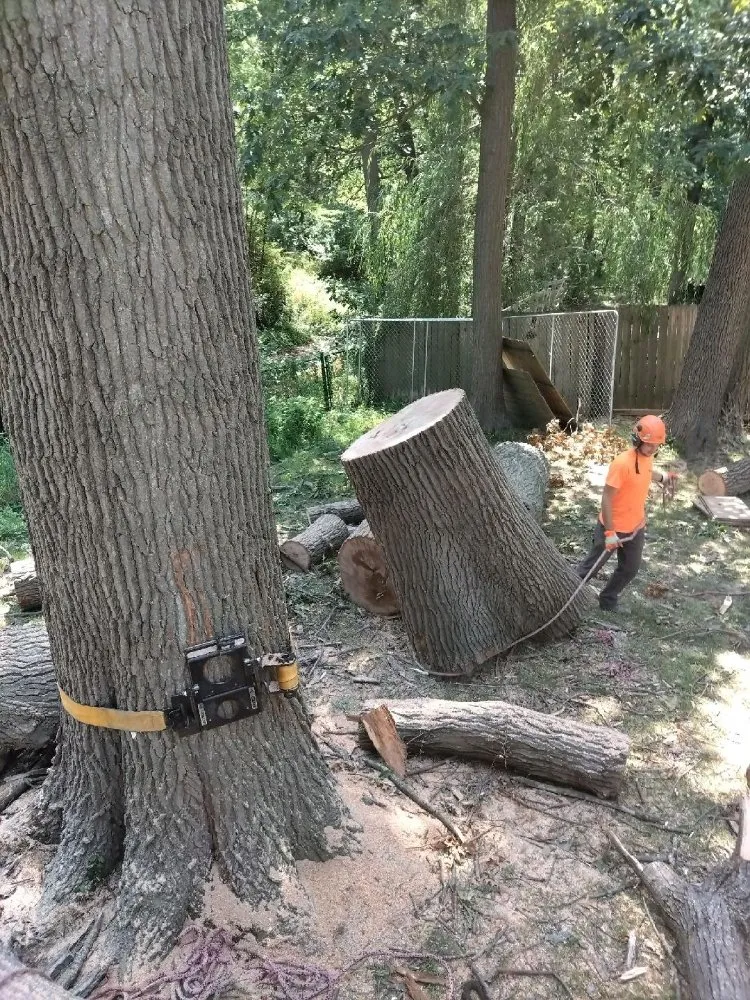 Affordable garden landscaping for outdoor upgrades in Cadwell, IL by Central IL Hedge Trimming