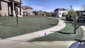 Central Indiana Hydroseeding