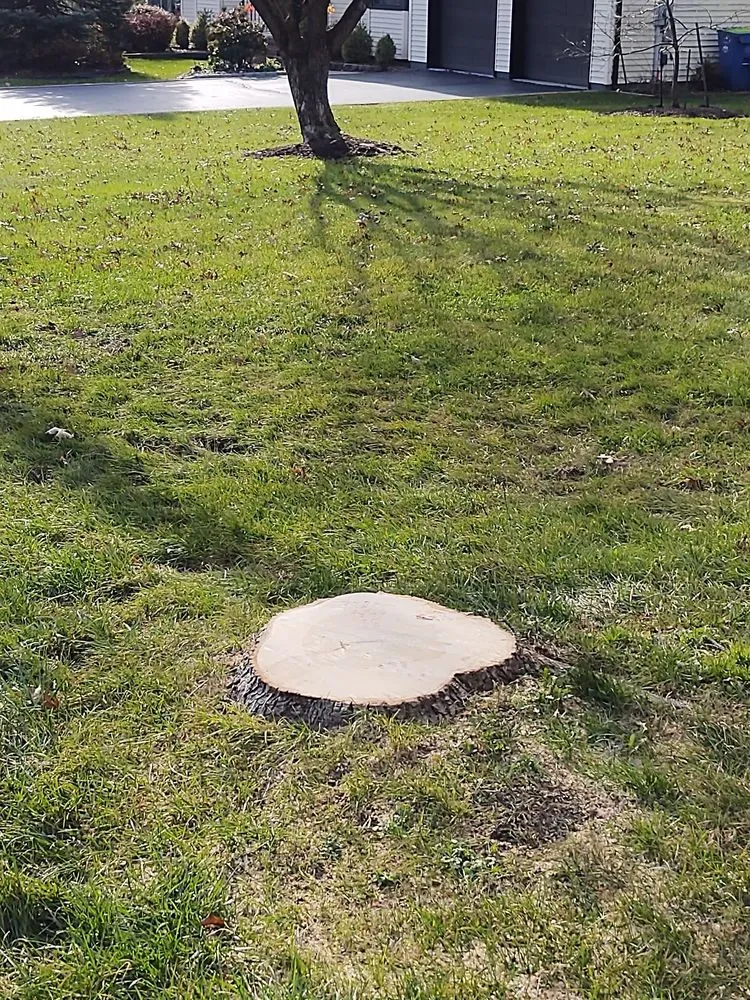 Reliable yard cleanup service for homes across Bound Brook, NJ - Central Jersey Tree Services