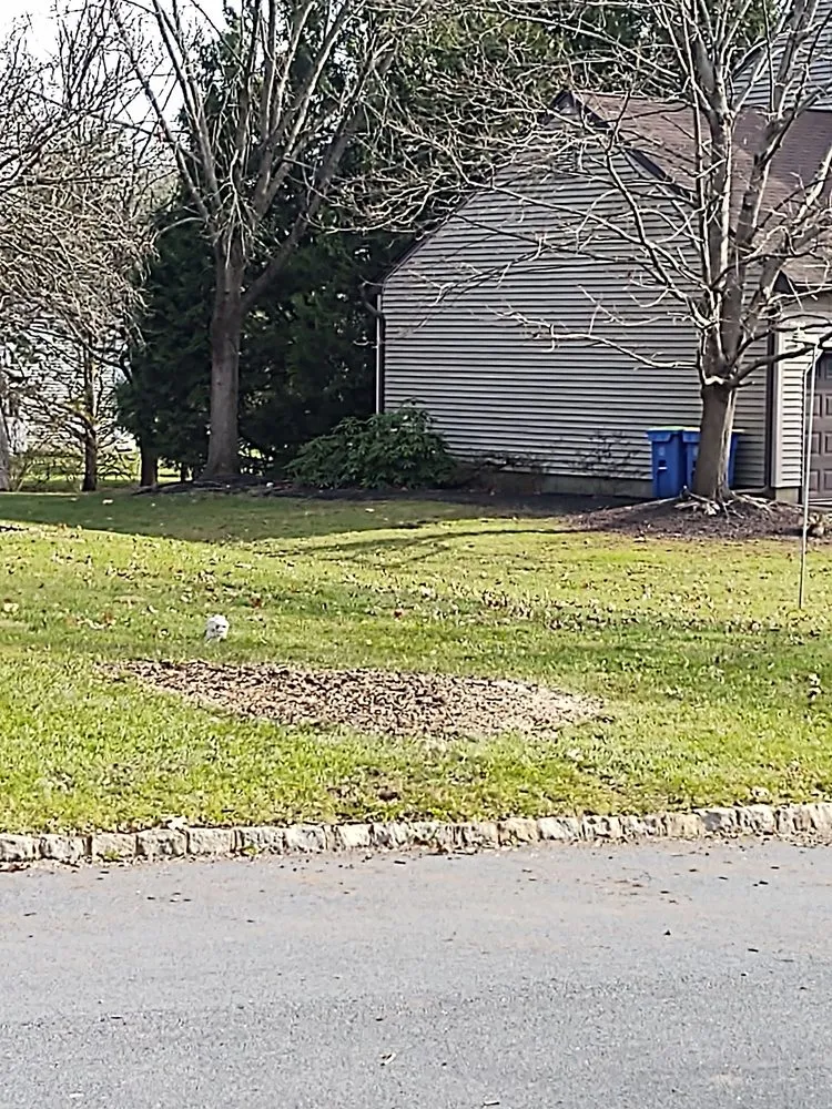 Reliable landscaping services experts serving Bound Brook, NJ - Central Jersey Tree Services