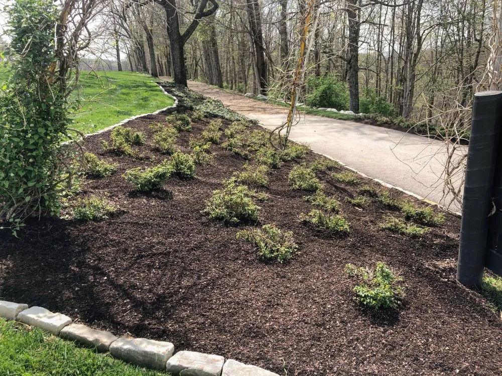 Expert yard maintenance for residential properties across Brodhead, KY - Central Kentucky Properties