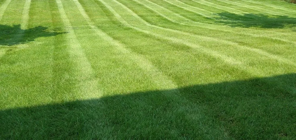 Local lawn care service with custom design across Roscoe, MN - Central Lakes Lawn Care