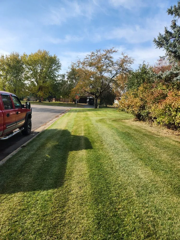 Expert yard maintenance in Roscoe, MN - Central Lakes Lawn Care