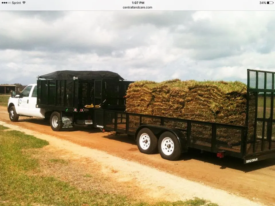 Custom landscaping services experts serving Tampa Bay, FL - Central Land Care