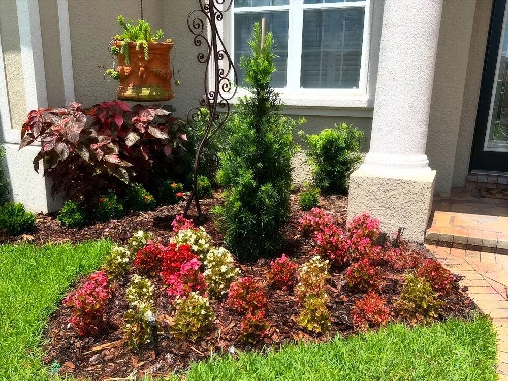Reliable lawn mowing service in Tampa Bay, FL by Central Land Care
