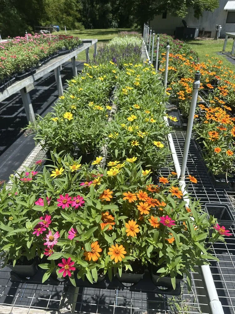 Expert outdoor landscaping experts serving Tampa Bay, FL - Central Land Care