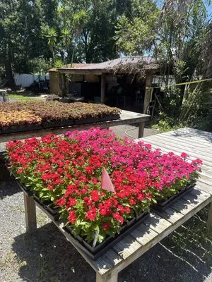 Central Land Care Logo