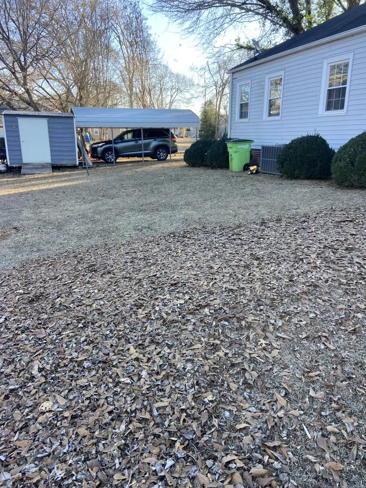 Trusted outdoor landscaping in Springville, AL - Central Lawn Care