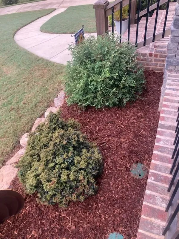 Professional landscape design for homes across Springville, AL - Central Lawn Care