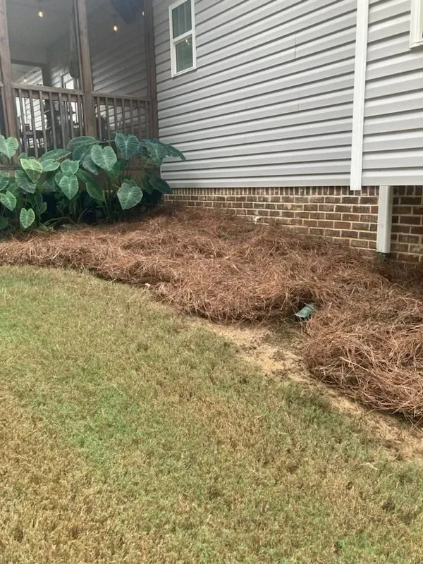 Professional landscape installation in Springville, AL - Central Lawn Care