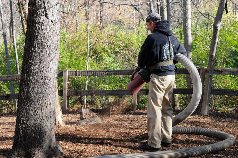 Expert lawn care service in Walton, KY by Central Lawn Care