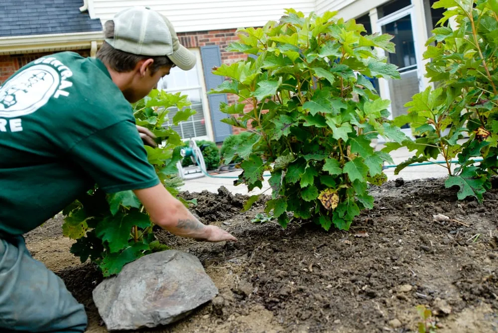 Trusted yard maintenance for residential properties in Walton, KY by Central Lawn Care