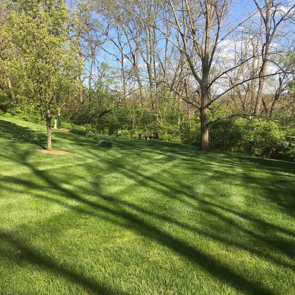 Custom yard maintenance experts serving Walton, KY - Central Lawn Care