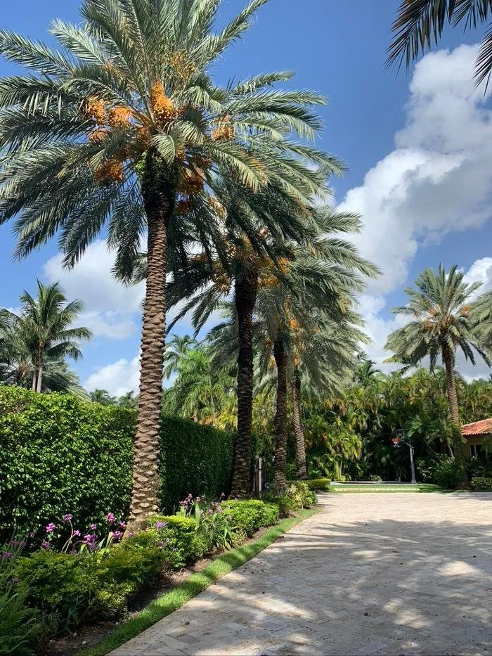 Expert landscape installation in Weston, FL by Central Lawn Maintenance