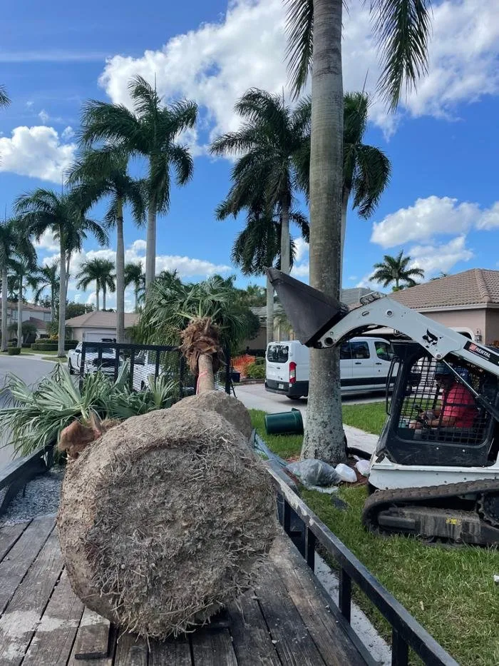 Expert landscape design in Weston, FL - Central Lawn Maintenance