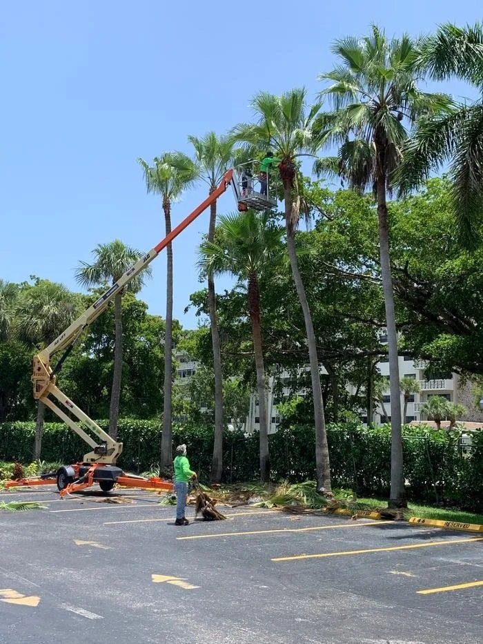 Professional lawn mowing service in Weston, FL by Central Lawn Maintenance