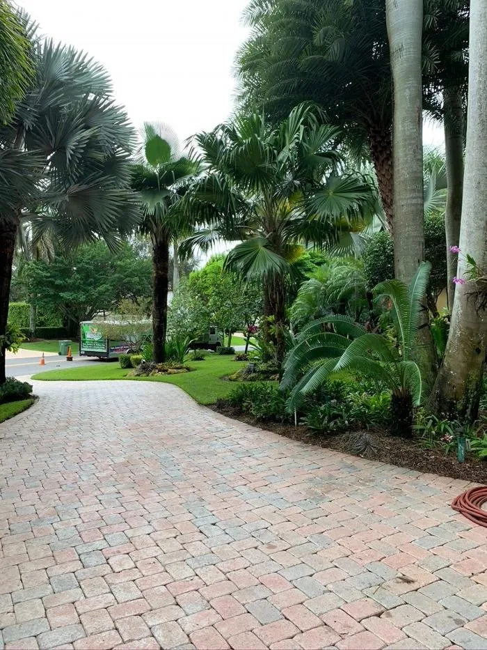 Reliable lawn care service in Weston, FL by Central Lawn Maintenance
