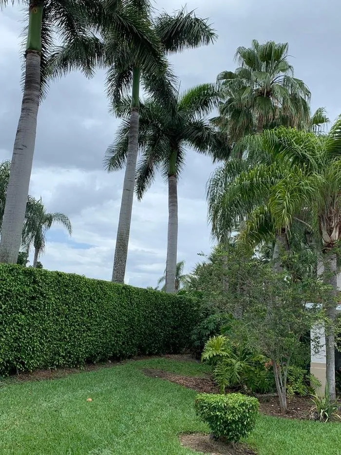 Expert residential landscaping in Weston, FL - Central Lawn Maintenance