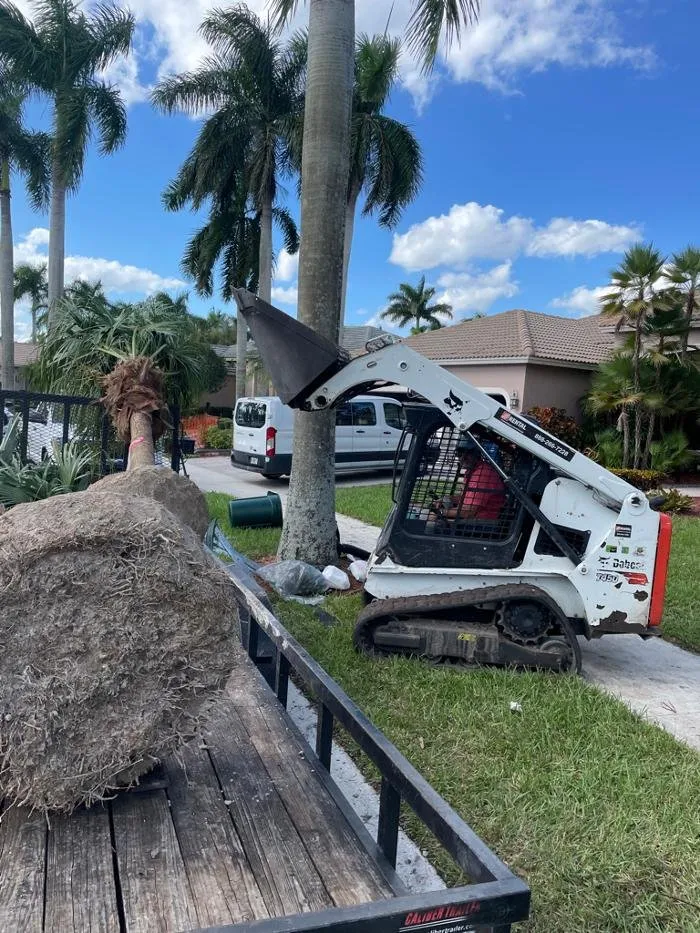 Custom landscape installation for homes across Weston, FL - Central Lawn Maintenance