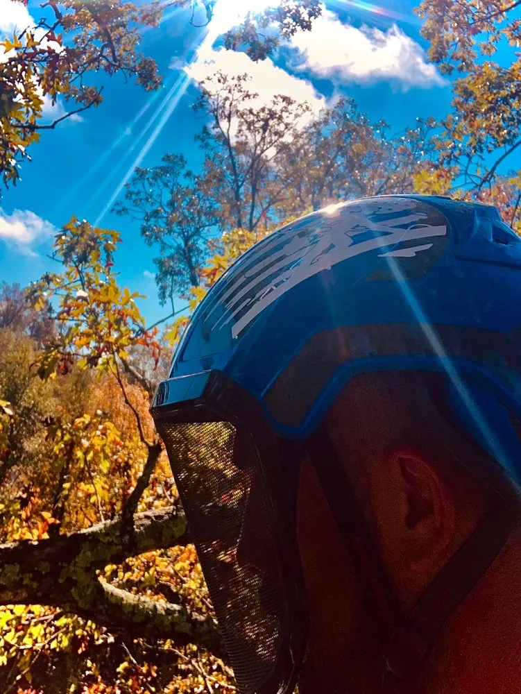 Affordable residential landscaping near you in Aberdeen, NC by Central Leader Tree Care