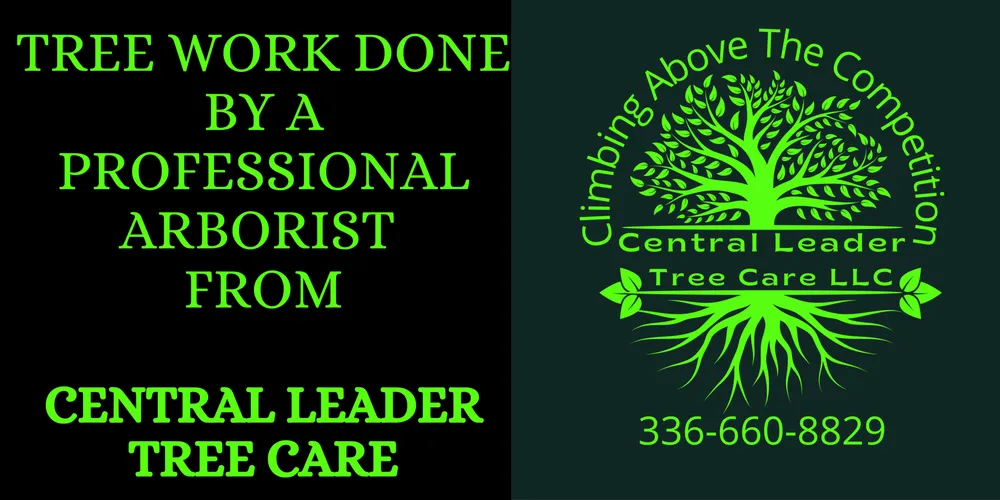 Trusted yard maintenance for residential properties across Aberdeen, NC - Central Leader Tree Care