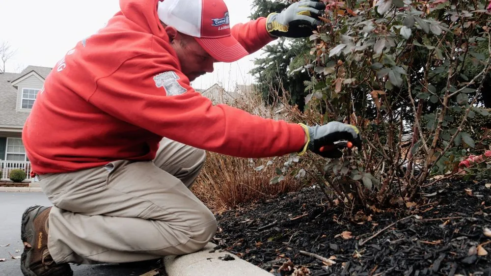 Reliable outdoor landscaping experts serving Hilliard, OH - Central Liberty Properties