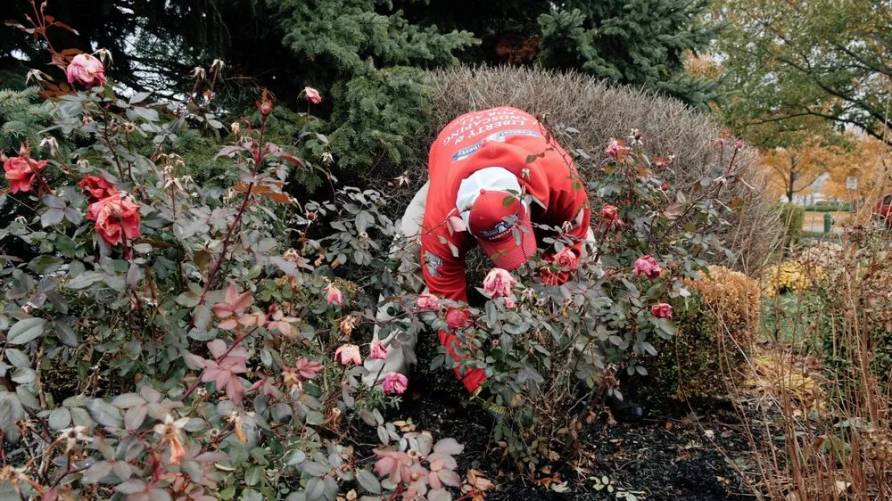 Expert landscape design in Hilliard, OH by Central Liberty Properties