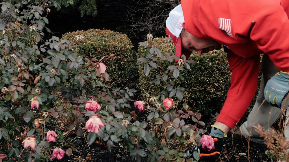 Affordable garden landscaping experts serving Hilliard, OH - Central Liberty Properties