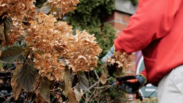 Central Liberty Properties