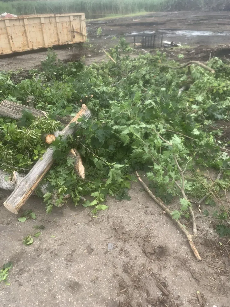 Reliable garden landscaping for beautiful yards across Dearborn Heights, MI - Central Management