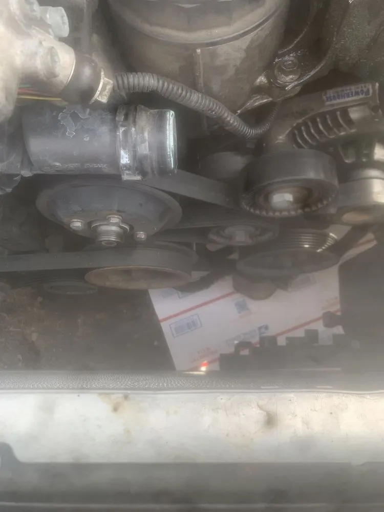 Expert lawn care service in Dearborn Heights, MI - Central Management