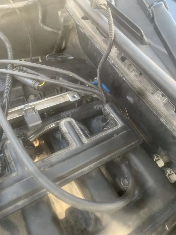 Reliable residential landscaping in Dearborn Heights, MI - Central Management